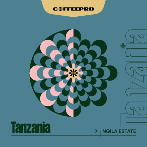 Tanzania Ngila Estate