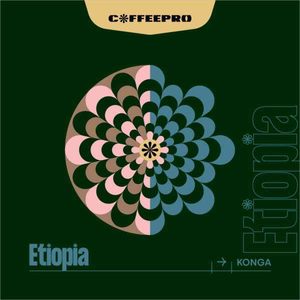 Etiopia Konga